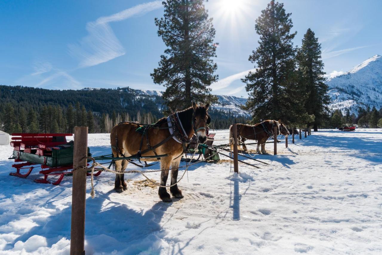 Aspen Suites 506: The Nest Leavenworth Bagian luar foto
